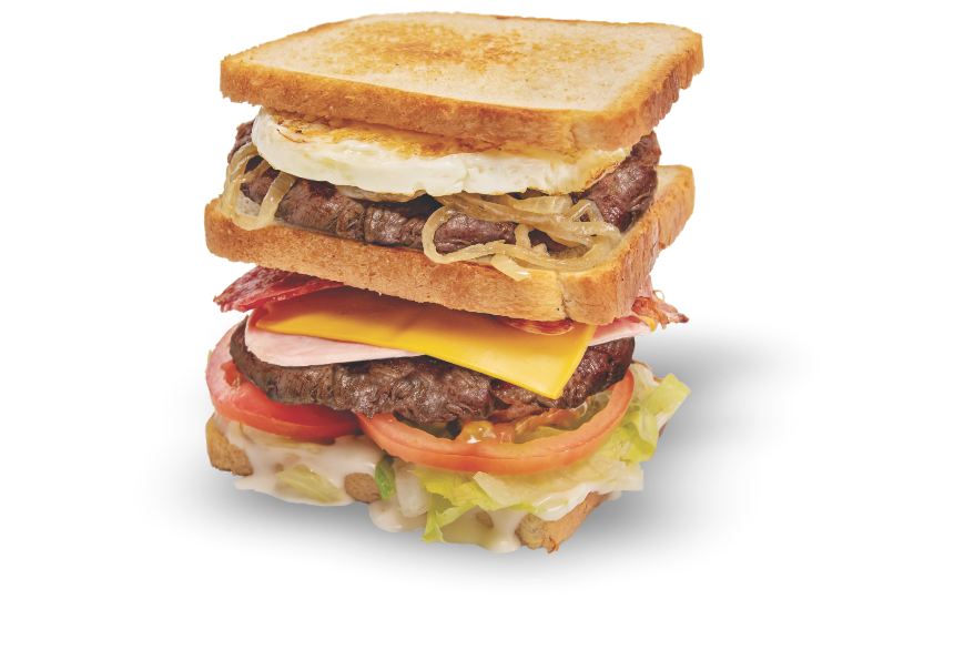 SUPER SPECIAL BEEF DAGWOOD