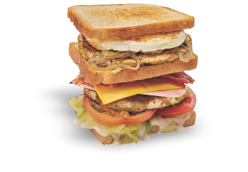 Super Special Chicken Dagwood
