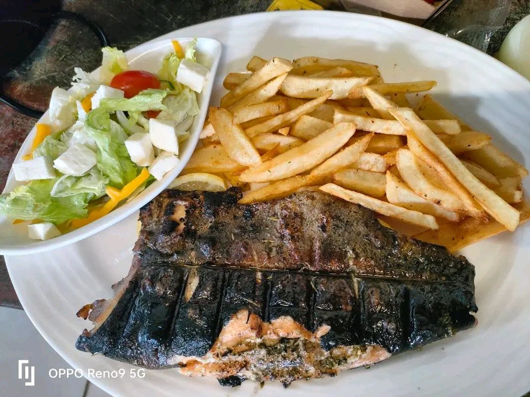 Full medium trout