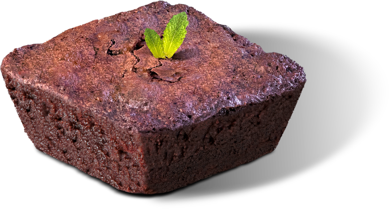 Chocolate Brownie