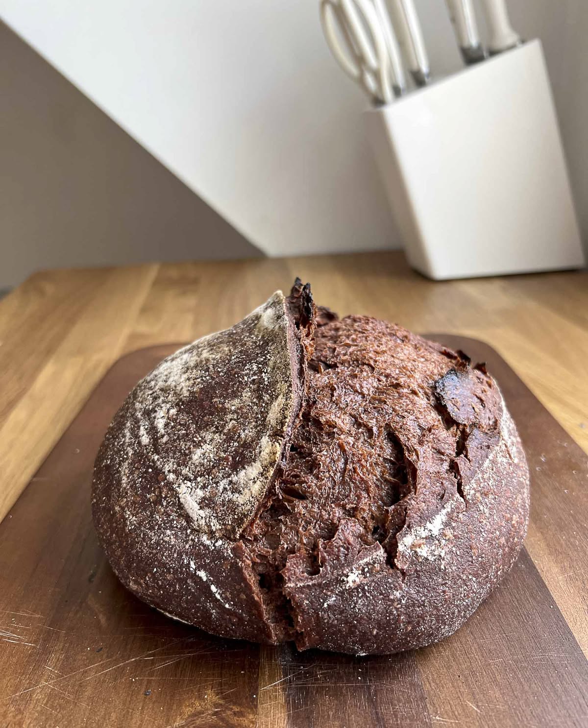 Chocolate Sourdough